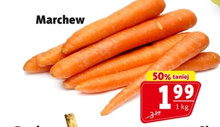 Marchew
