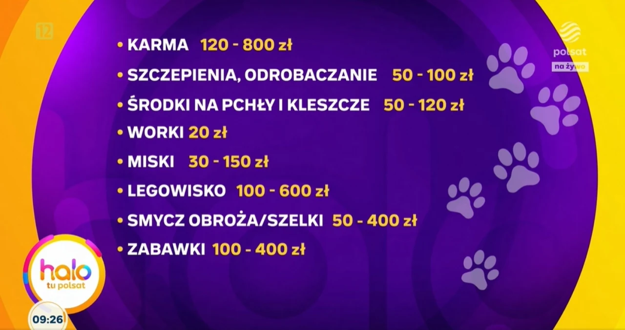 Ile kosztuje utrzymanie psa?