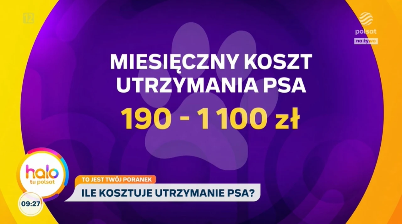 Miesięczny koszt utrzymania psa bywa bardzo różny i zależy od wielu czynników