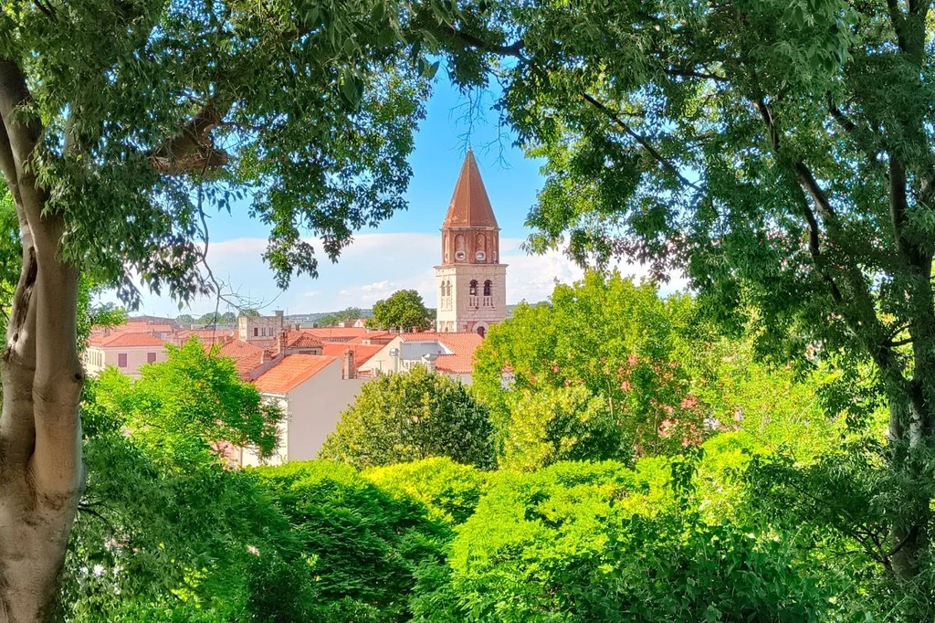 W Zadarze znajdziemy też zielone oazy Wieża kościoła górująca nad czerwonymi dachami budynków, otoczona bujną zielenią drzew, widoczna przez naturalną ramę utworzoną przez gałęzie