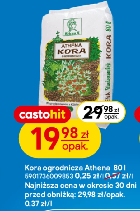 Kora Athena