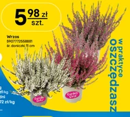 Wrzos Gardenic