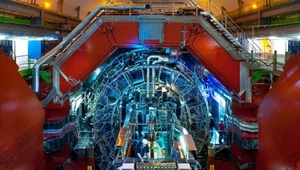 Student z Polski projektuje przełomowy detektor w CERN