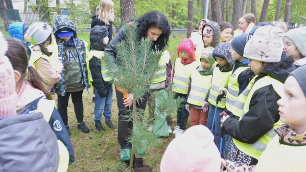 Grupa dzieci ubranych w odblaskowe kamizelki otacza dorosłą osobę, która przygotowuje dołek i trzyma młode drzewko, gotowa do sadzenia w parku lub lesie.