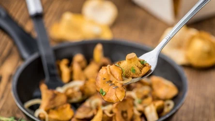 Jak smażyć kurki, żeby nie były gorzkie? Wystarczy odpowiedni czas smażenia.
