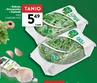 Szpinak Rukola