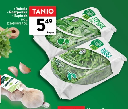 Szpinak Rukola