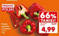 Papryka Polski