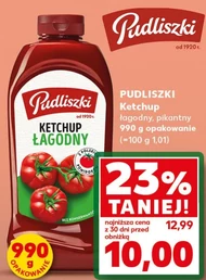 Ketchup Pudliszki