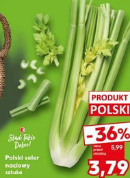 Селера K-Stąd Takie Dobre