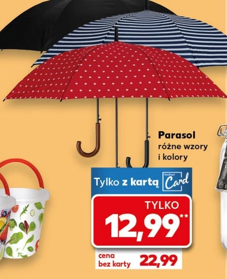 Парасолька