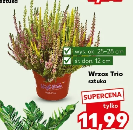 Хізер Ok.
