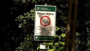 Nielegalna jazda po lasach. Fotopułapki znowu nagrały jeźdźców