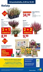Więcej znaczy taniej! - Lidl