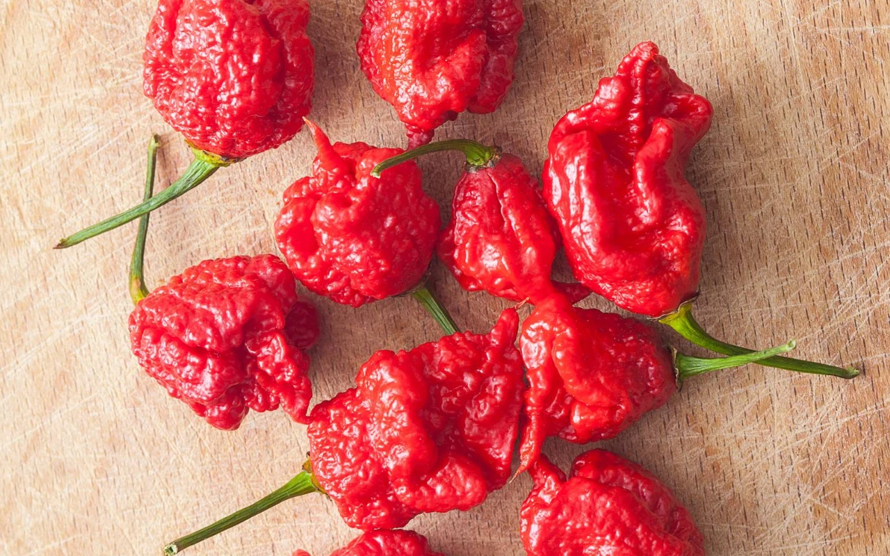 Carolina reaper to najostrzejsza papryczka świata. Ma ponad 2 miliony SHU