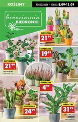 Gorące oferty! - Biedronka