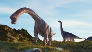 Podręczniki trzeba pisać na nowo. Komar z bursztynu załatwił dinozaury