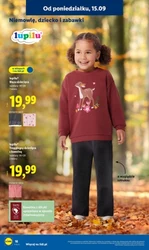 Katalog okazji - Lidl