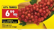 Winogrona