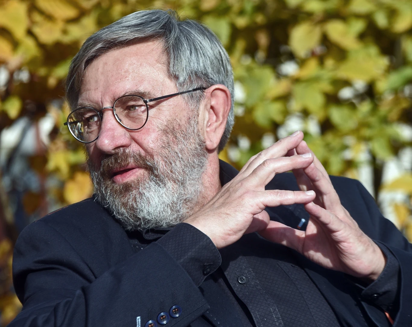 Jerzy Radziwiłowicz w 2016 roku Jerzy Radziwiłowicz w 2016 roku