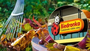 Rewolucja w Ogrodzie z Biedronką Home – Te narzędzia to hit jesieni!