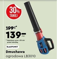 Dmuchawa do liści Blaupunkt