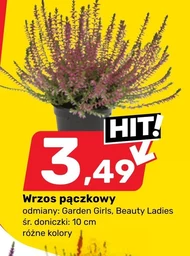 Хізер Hit
