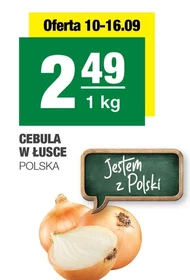 Цибуля Polski