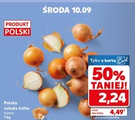 Cebula Polski