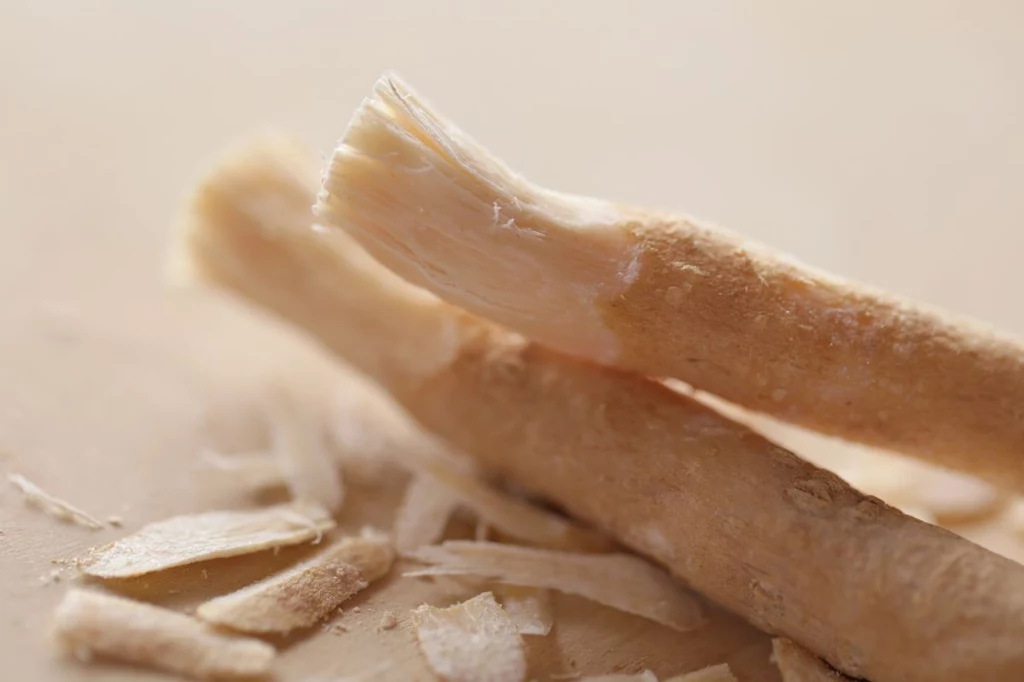 Po usunięciu kory i rozgryzieniu końcówki patyczka, miswak przypomina szczoteczkę Zdjęcie prezentuje dwa kawałki korzenia, jeden z nich jest obrany i przecięty, otaczają go cienkie wiórki korzenia o jasnej barwie, całość na tle w ciepłym, naturalnym odcieniu.