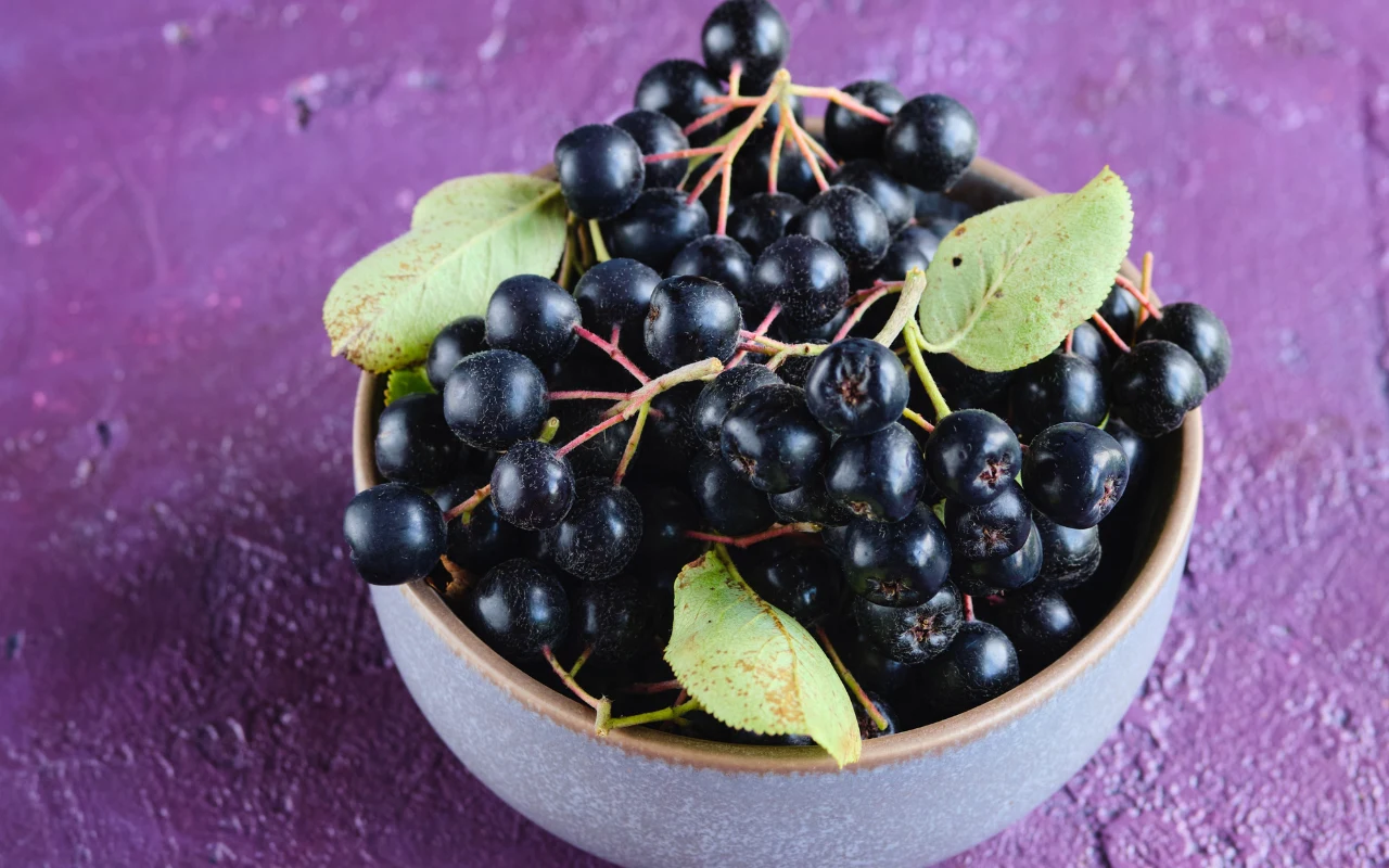 Aronia to rekordzistka wśród owoców - ma więcej antyoksydantów niż maliny czy borówki