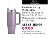 Термокружка Wellosophy