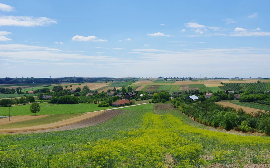 Polskie pola uprawne i wiejskie domy otoczone zielenią pod błękitnym niebem z lekkimi chmurami, w oddali widoczne pasma pól i pojedyncze domostwa.