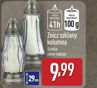 Znicz