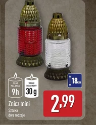 Znicz