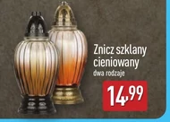 Znicz
