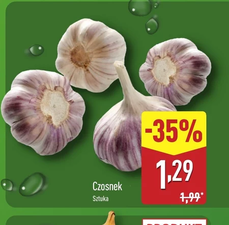 Czosnek