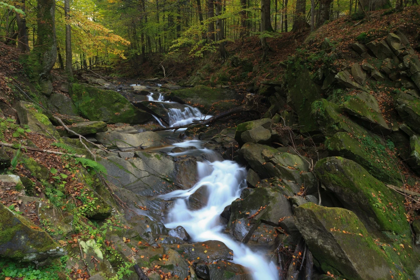 Gdzie wybrać się w Bieszczady jesienią? Szlak na ten wodospad to malownicza propozycja, w sam raz na weekendową wycieczkę.