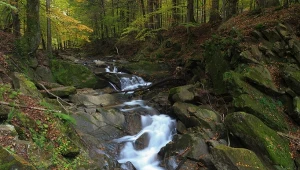 Jesień w Bieszczadach? Koniecznie wybierz się nad ten malowniczy wodospad 