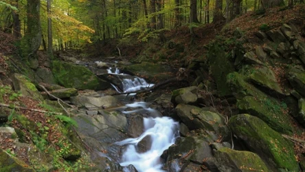 Gdzie wybrać się w Bieszczady jesienią? Szlak na ten wodospad to malownicza propozycja, w sam raz na weekendową wycieczkę.
