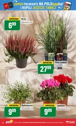 Nowości i Hity Cenowe - POLOmarket