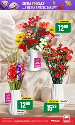 Nowości i Hity Cenowe - POLOmarket