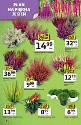 Zawsze w dobrej cenie - Auchan Hipermarket