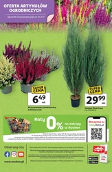 Zawsze w dobrej cenie - Auchan Hipermarket