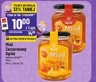Любий Zaczarowany Ogród