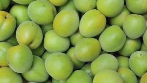 Jedzenie tych owoców pomaga odżywić skórę, uregulować ciśnienie i trawienie.