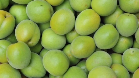 Jedzenie tych owoców pomaga odżywić skórę, uregulować ciśnienie i trawienie.