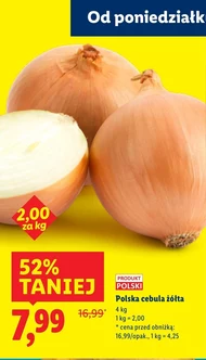 Cebula
