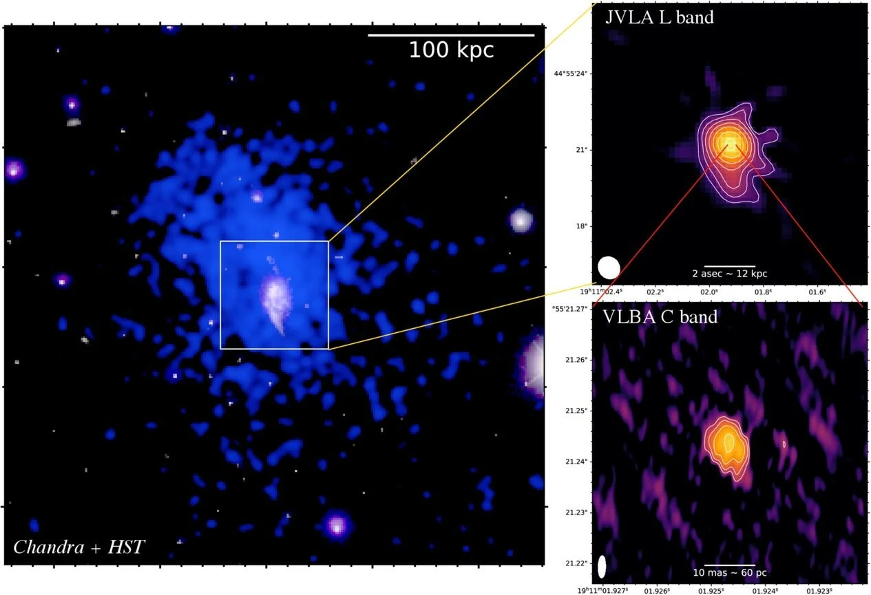 Naukowcy zaobserwowali przebudzenie supermasywnej czarnej dziury. To może pomóc w badaniach nad ewolucją galaktyk. Obraz przedstawia obserwacje astronomiczne z różnych zakresów fal, centralnie widoczna galaktyka lub gromada galaktyk w otoczeniu promieniowania o różnej intensywności, z powiększeniem oraz oznaczeniem skali w kiloparsekach.