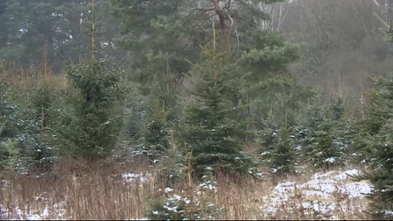 Czysta Polska - odc. 44